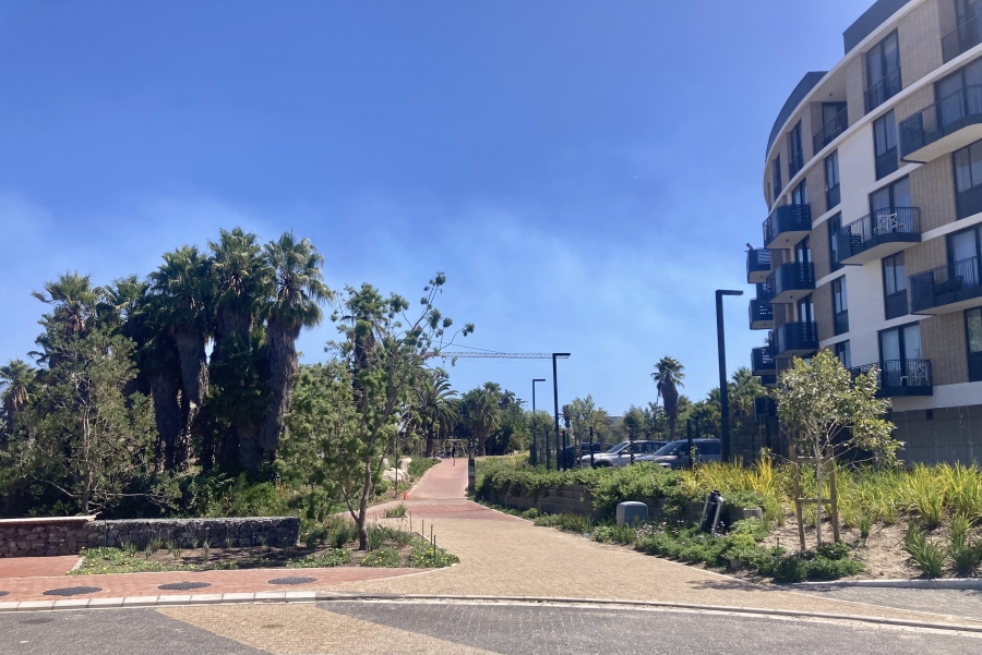To Let 0 Bedroom Property for Rent in Century City Western Cape
